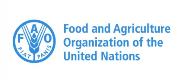 Food and Agriculture Organization of the United Nations (FAO)